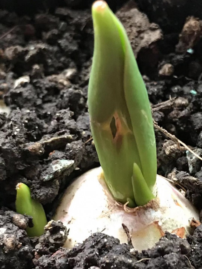 ΢��ͼƬ_20190315233754.jpg
