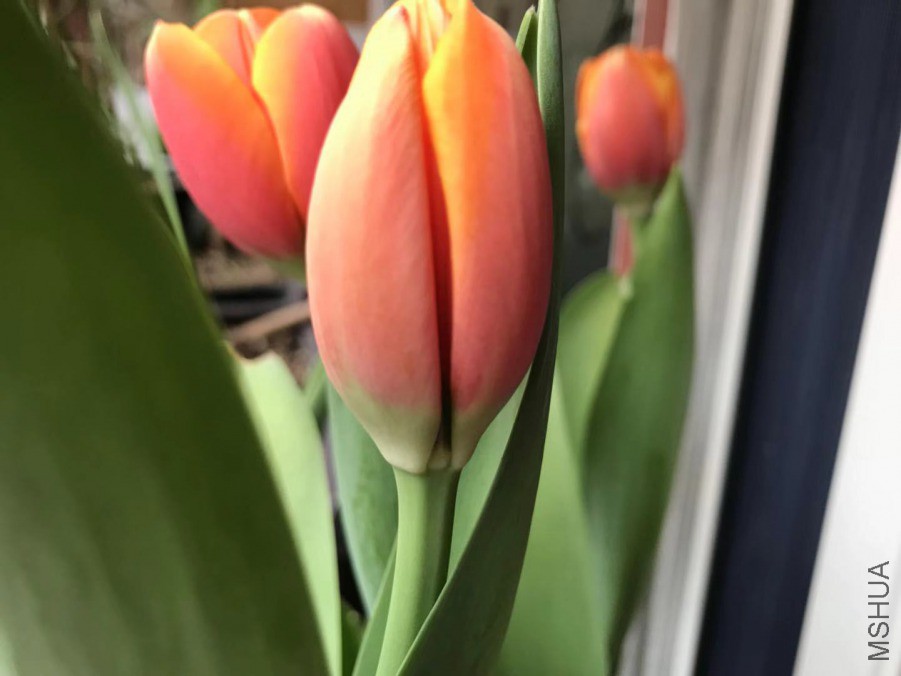 ΢��ͼƬ_201903152349134.jpg