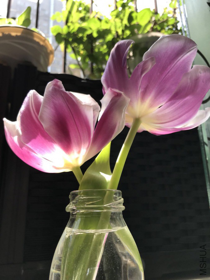 ΢��ͼƬ_201904011434341.jpg