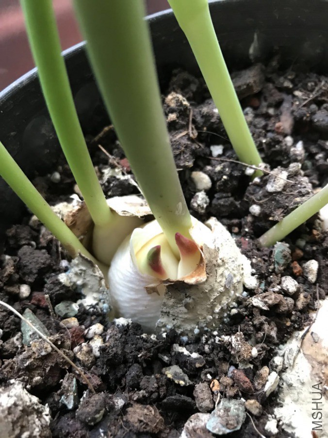 ΢��ͼƬ_20190324234044.jpg