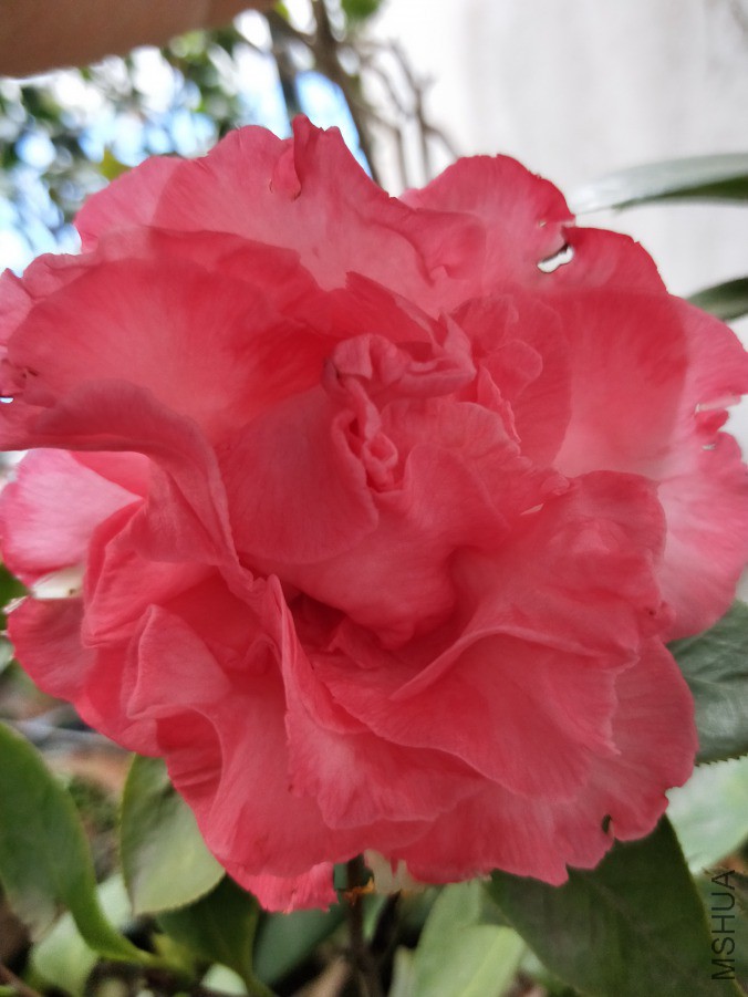 IMG20190404124124.jpg