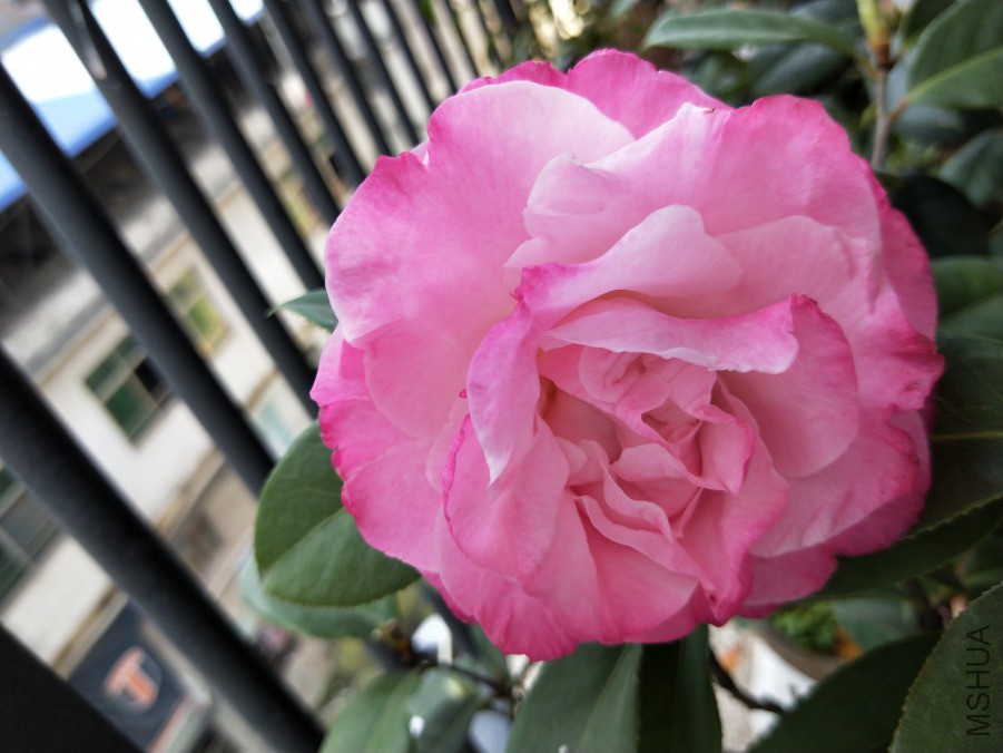 IMG20190406094945.jpg