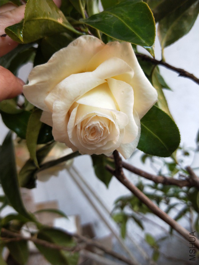 IMG20190405154415.jpg
