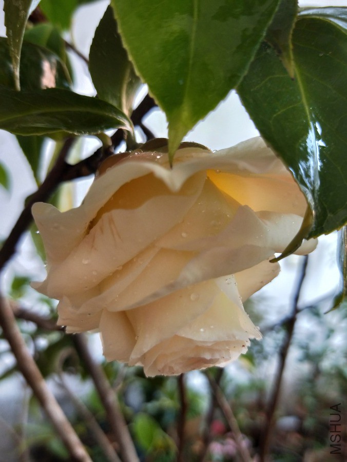 IMG20190405154431.jpg