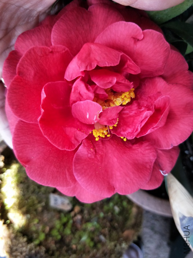 IMG20190406114347.jpg