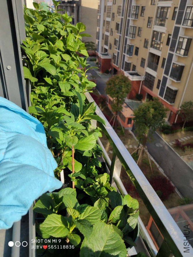΢��ͼƬ_20190406182625.jpg