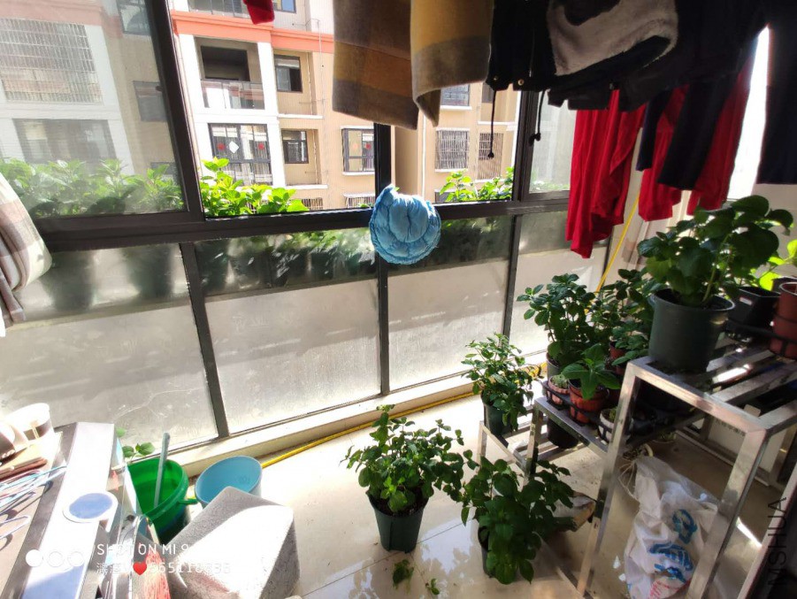΢��ͼƬ_20190406182642.jpg