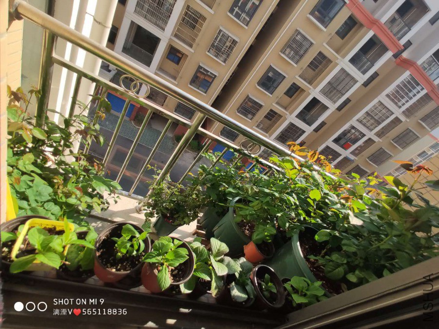 ΢��ͼƬ_20190406182648.jpg