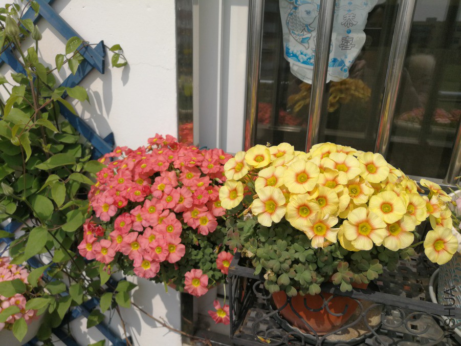 IMG_20190330_132824.jpg