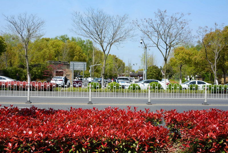 DSC_70600012.JPG