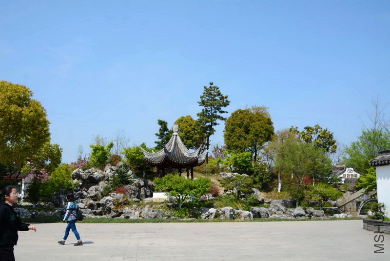 DSC_70690021.JPG