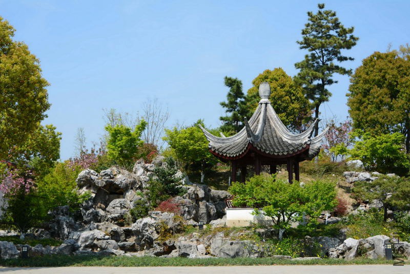 DSC_70710023.JPG