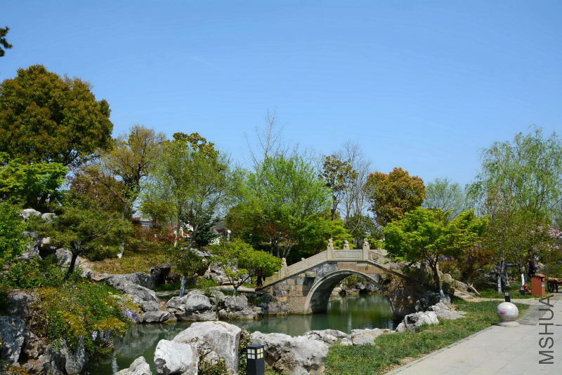 DSC_70730025.JPG