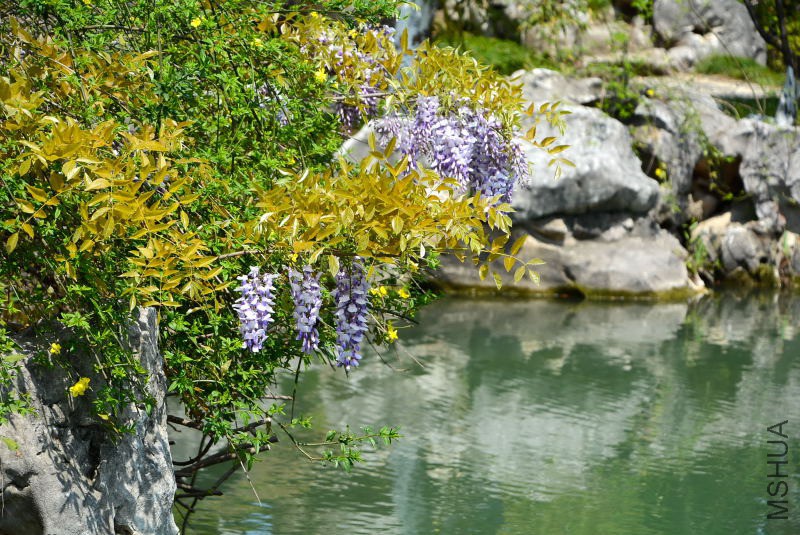 DSC_70770029.JPG