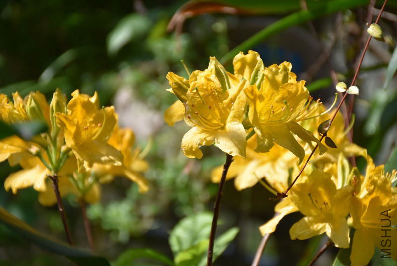 DSC_00010001.JPG