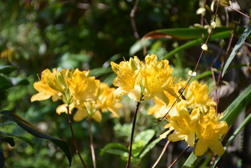 DSC_00130013.JPG