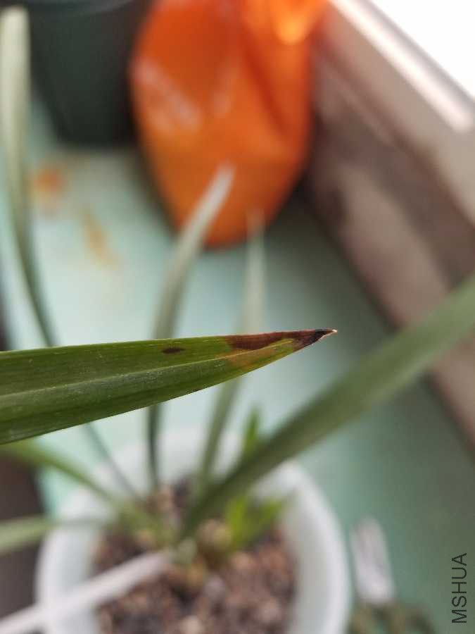 20190407_102734.jpg