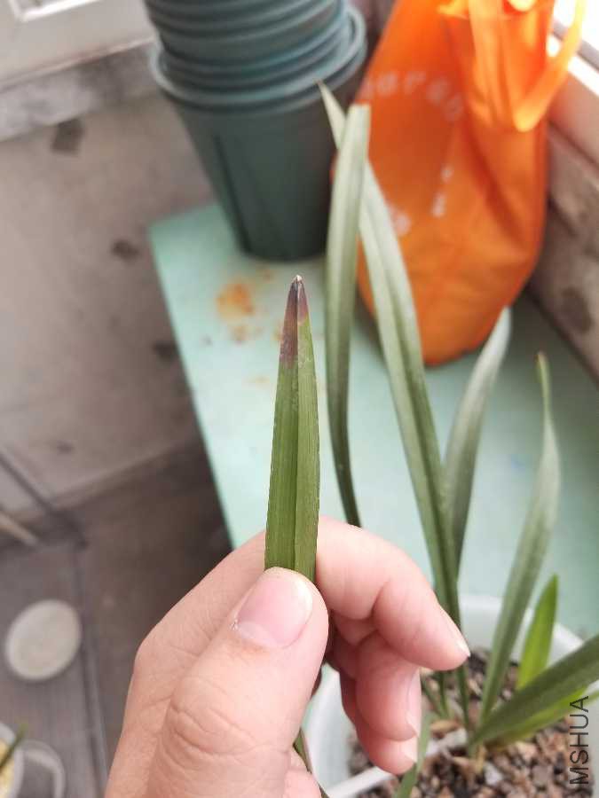 20190407_102720.jpg