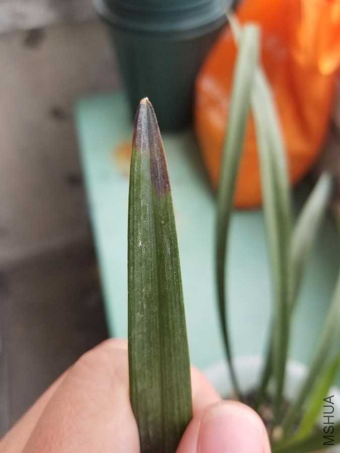 20190407_102703.jpg