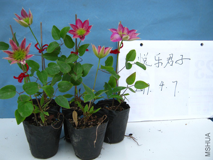 �ʵ�IMG_0636.JPG
