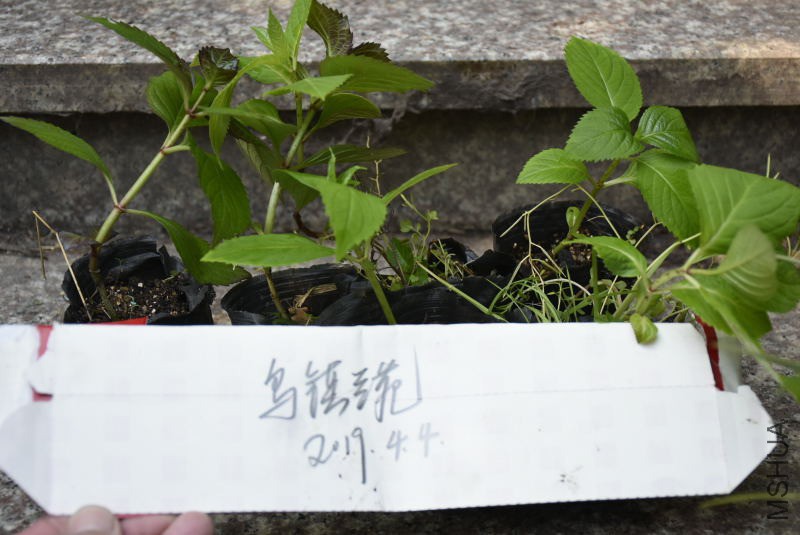 _DSC08480848.JPG