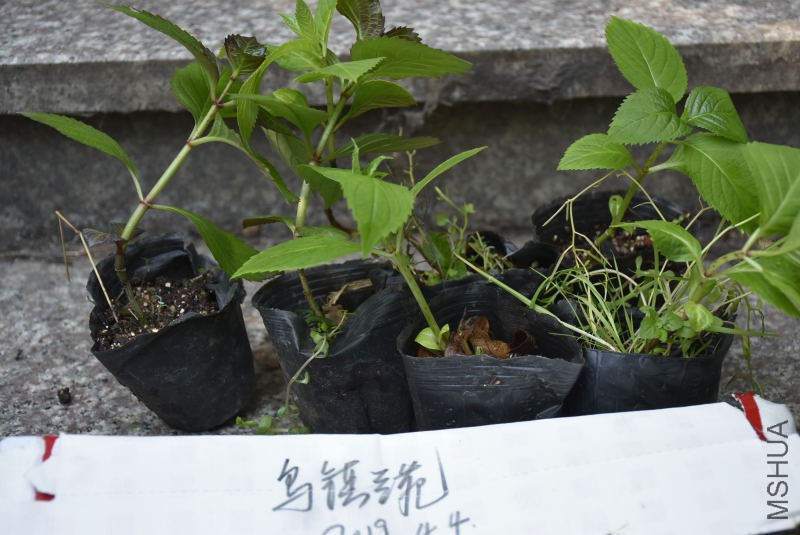 _DSC08540854.JPG