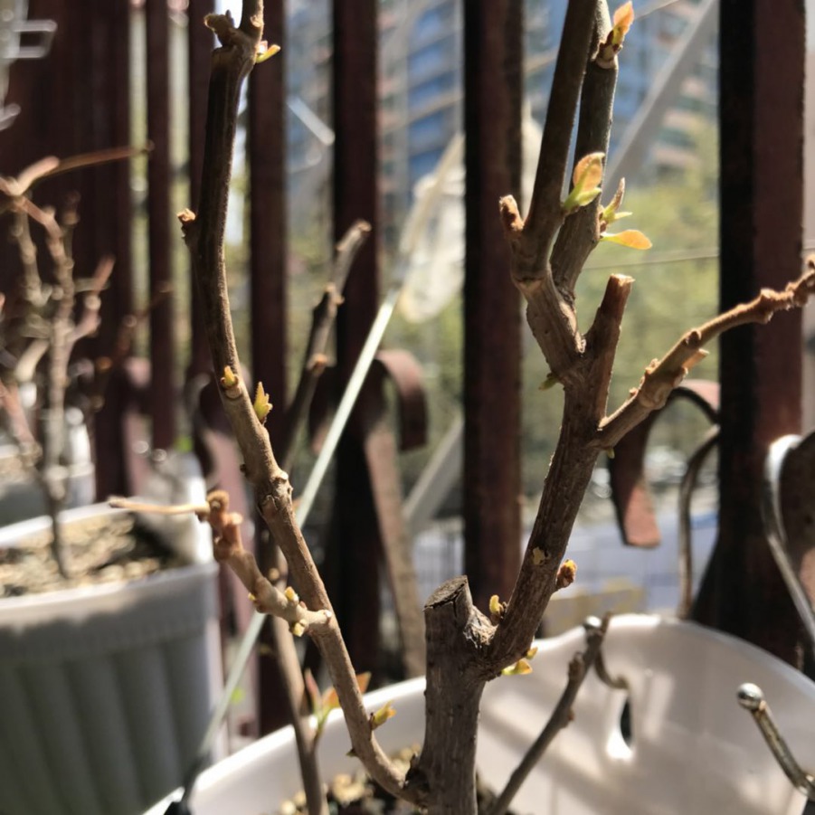 ΢��ͼƬ_201904011438454.jpg