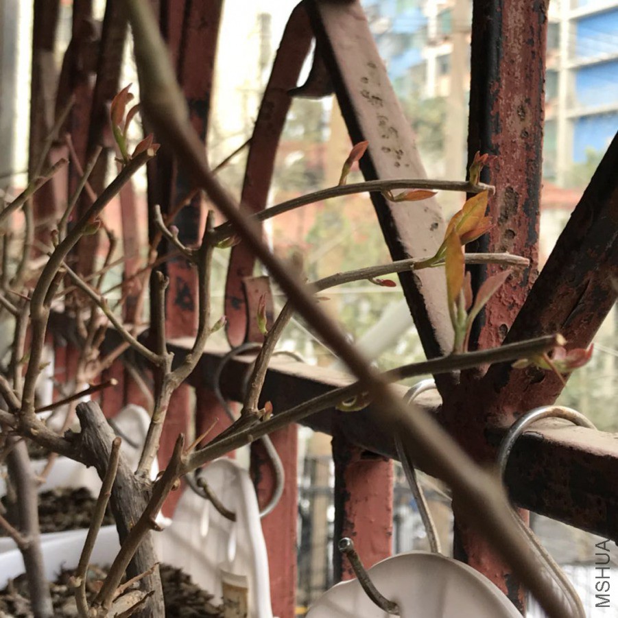 ΢��ͼƬ_20190324234817.jpg