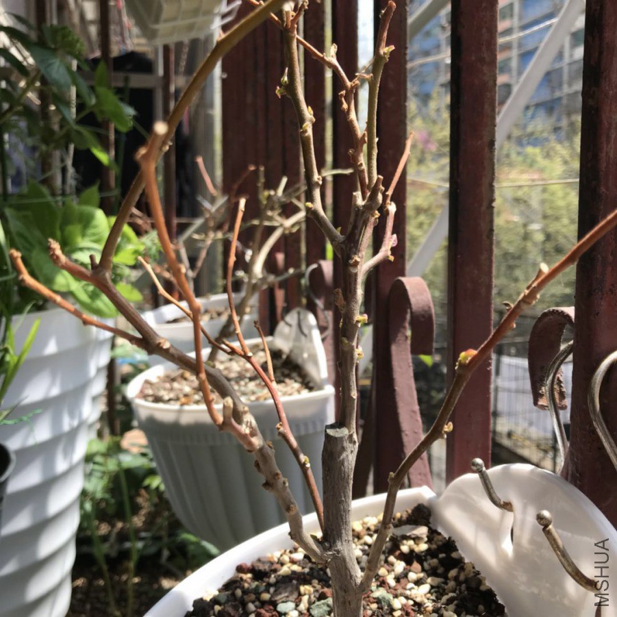 ΢��ͼƬ_201904011438453.jpg