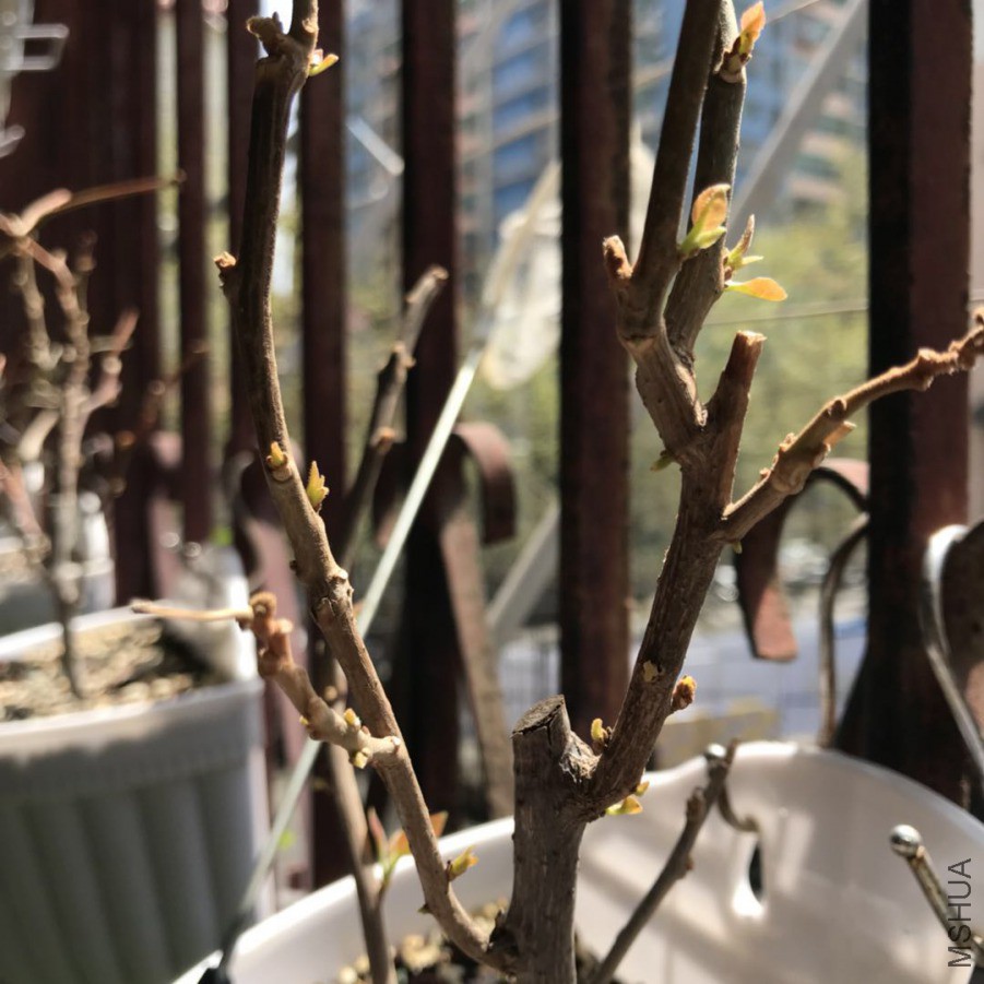 ΢��ͼƬ_201904011438454.jpg