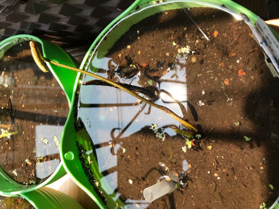 ΢��ͼƬ_20190408134825.jpg