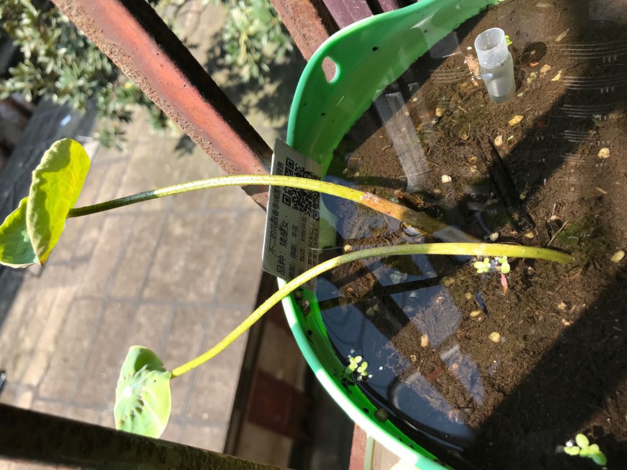 ΢��ͼƬ_201904081348251.jpg