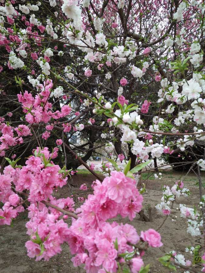 IMG20190408135613.jpg