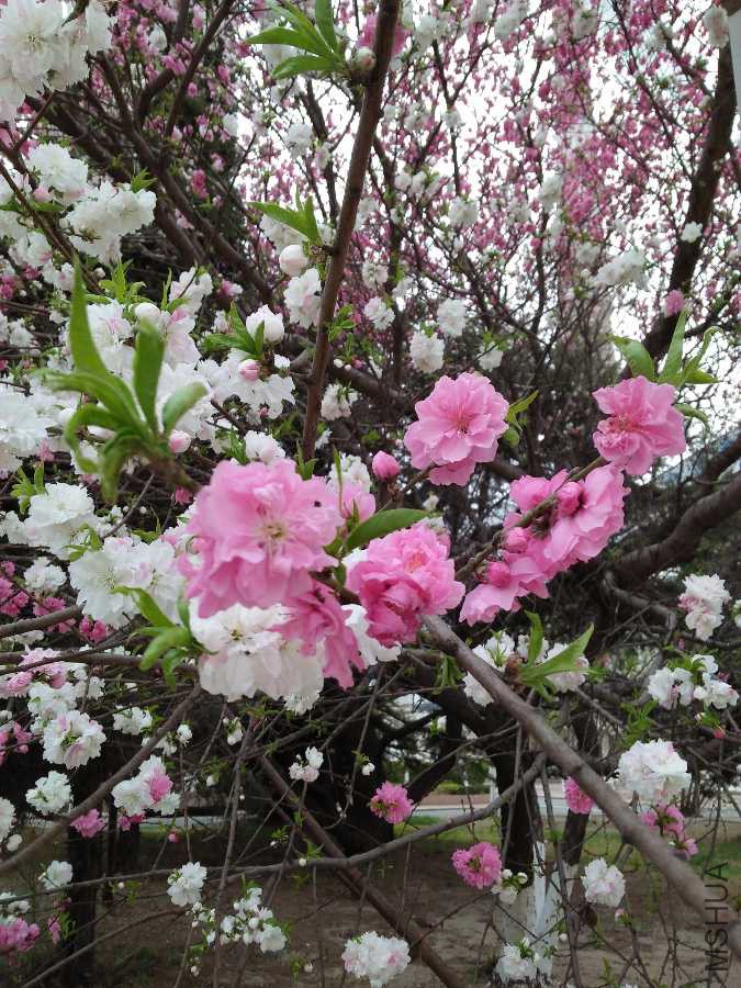 IMG20190408135555.jpg