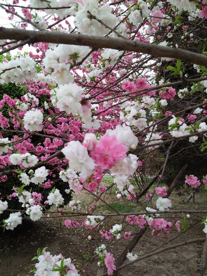 IMG20190408135530.jpg