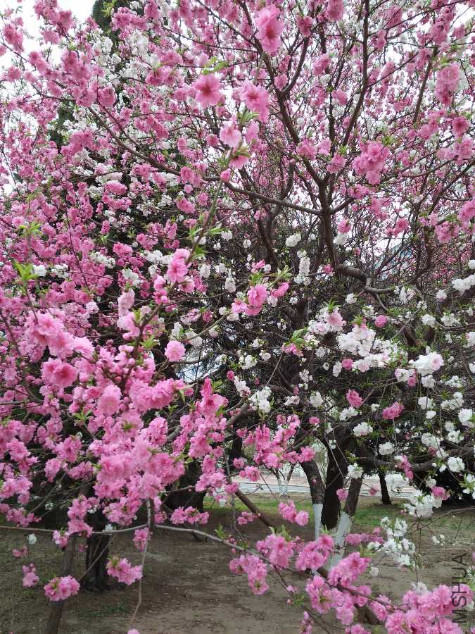 IMG20190408135441.jpg