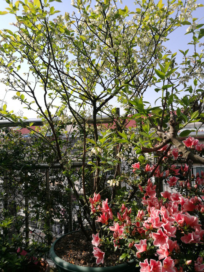 IMG_20190408_150841.jpg