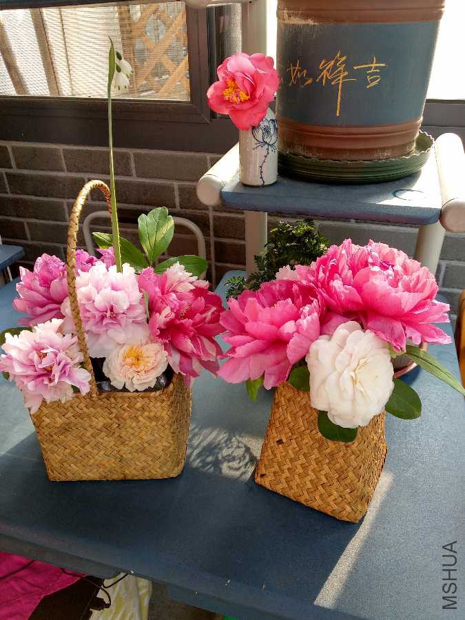IMG_20190409_075041.jpg