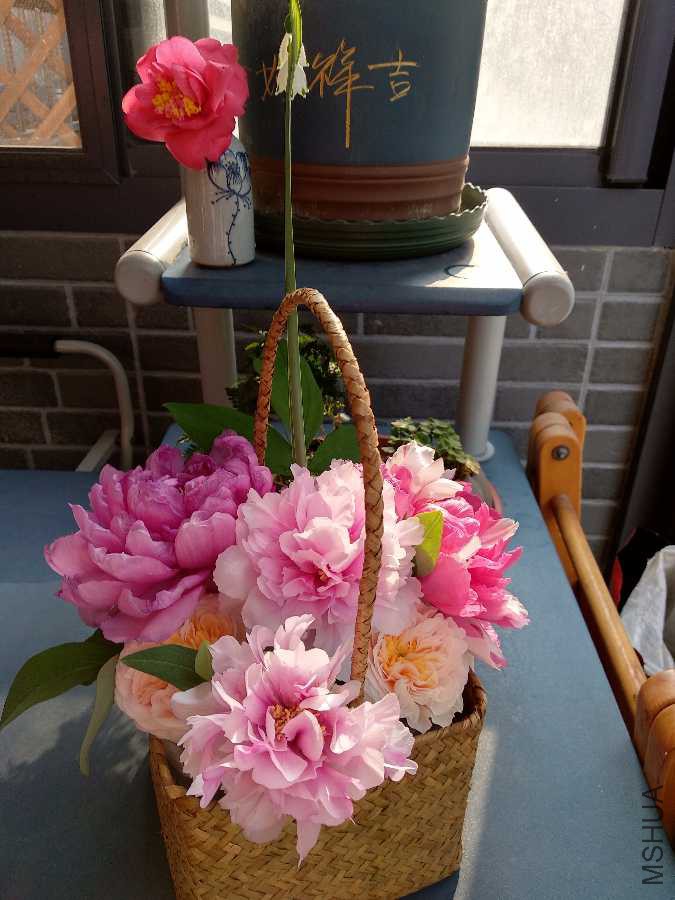IMG_20190409_074944.jpg