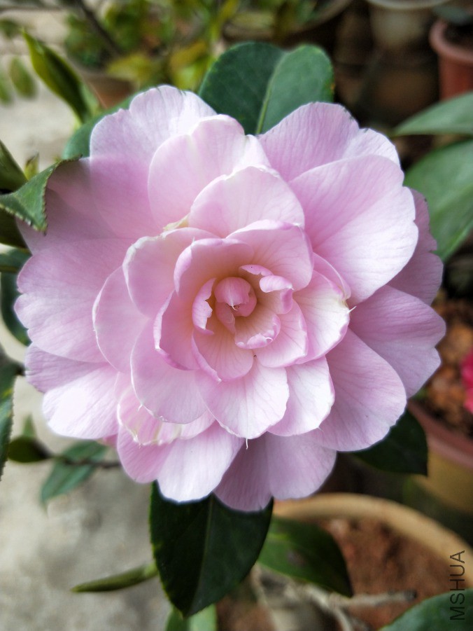 IMG20190409085538.jpg