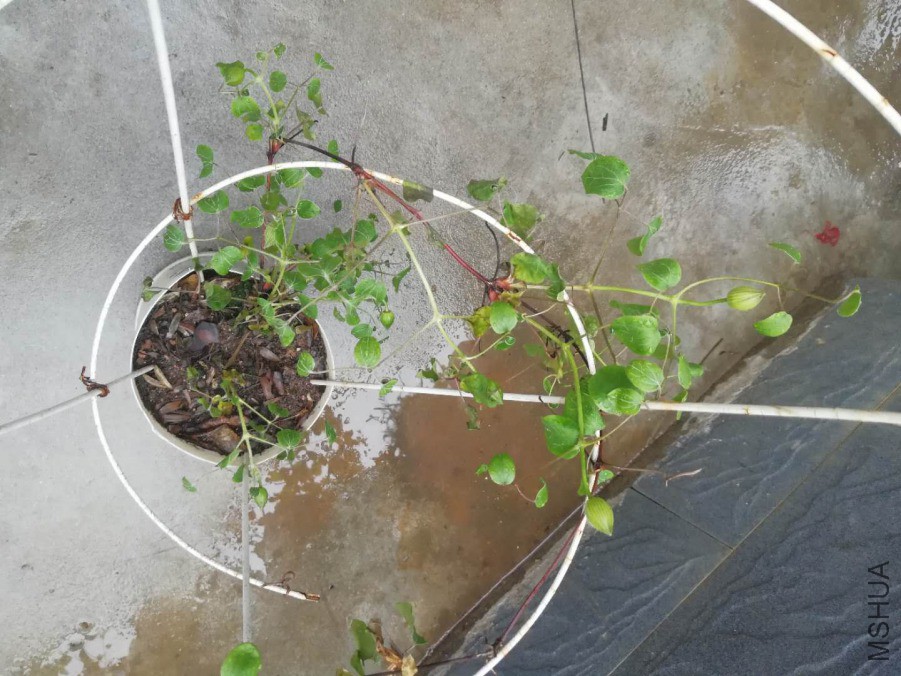 ΢��ͼƬ_20190409145934.jpg