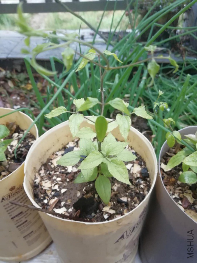 ΢��ͼƬ_20190409145925.jpg