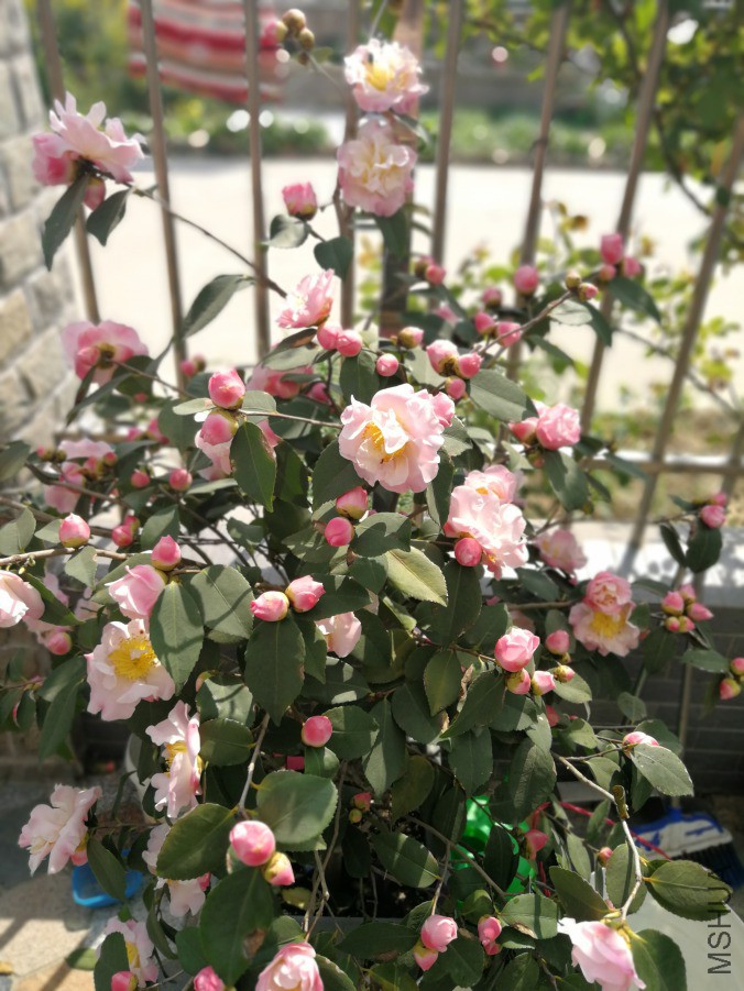 IMG_20190406_140157.jpg