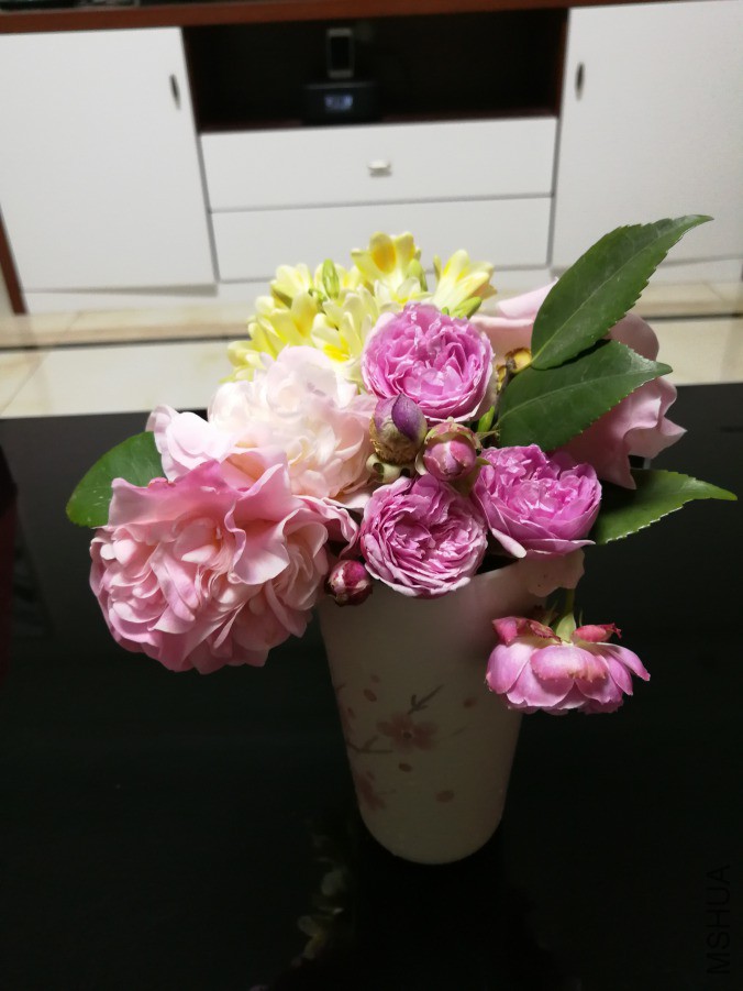 IMG_20190328_211820.jpg