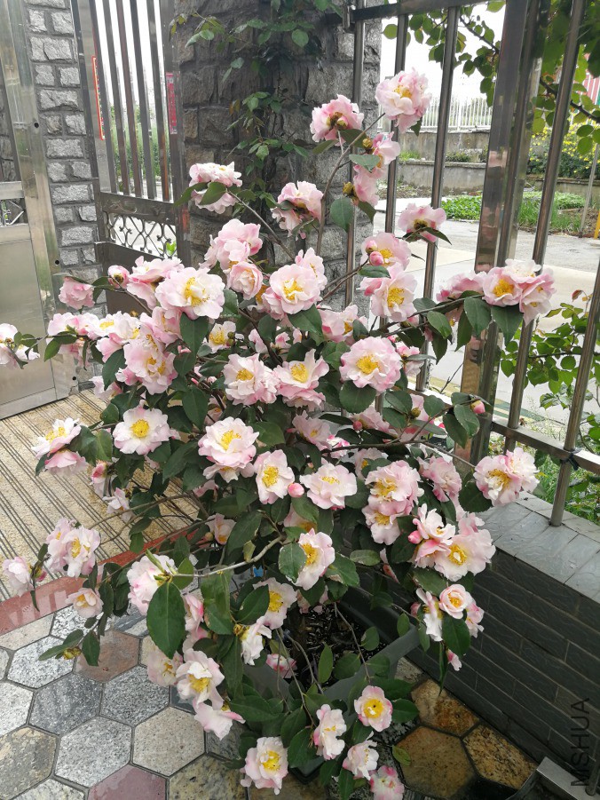 IMG_20190409_131946.jpg