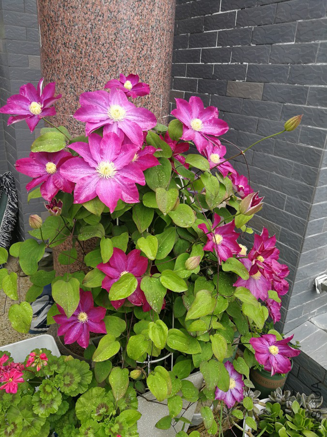 IMG_20190409_132105.jpg