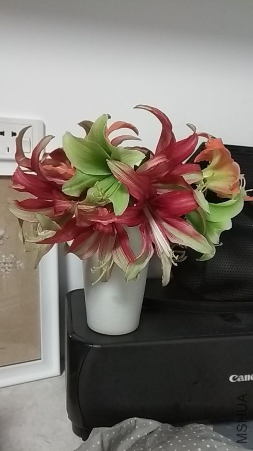 ΢��ͼƬ_20190409193949.jpg
