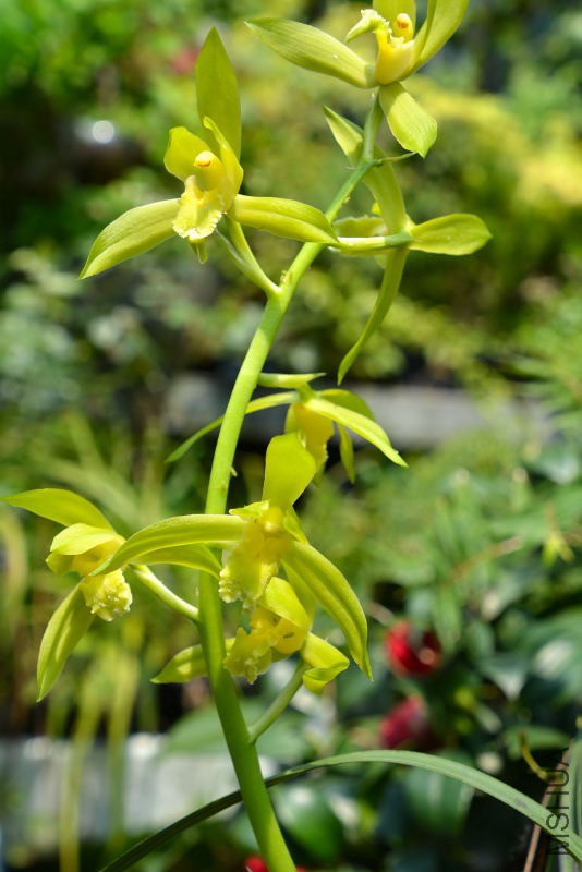 DSC_80590012.JPG