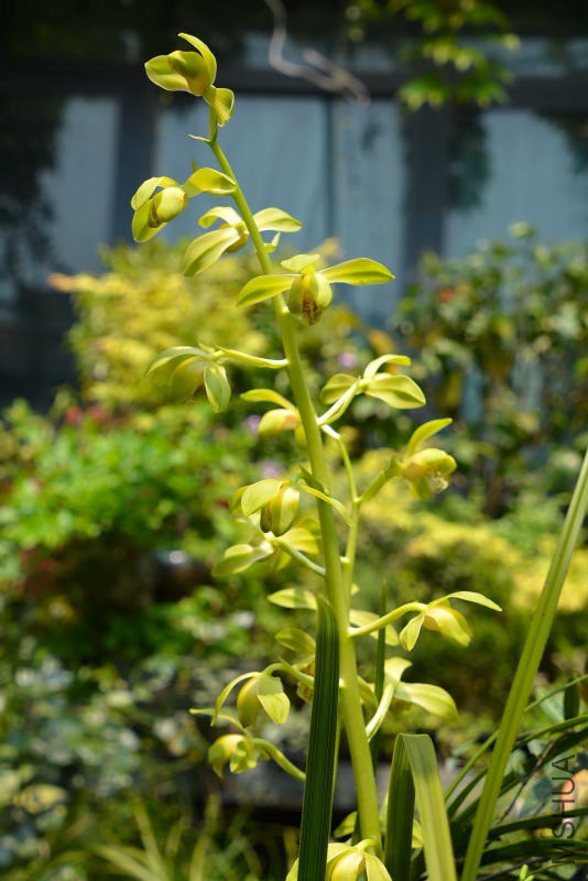 DSC_82030156.JPG