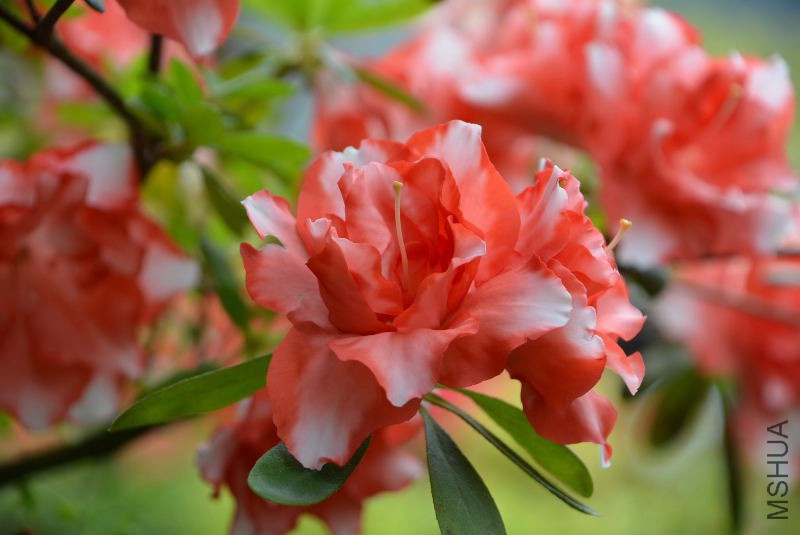DSC_82620215.JPG